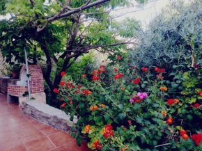 Cortijo Rural Violeta